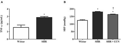 High Levels of Tumor Necrosis Factor-Alpha Reduce Placental Aquaporin 3 Expression and Impair in vitro Trophoblastic Cell Migration